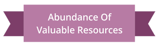 abundance of valuable resources